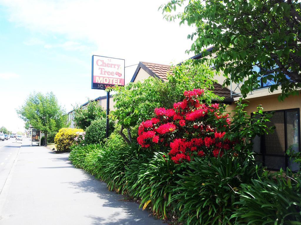 كريستتشيرش Cherry Tree Lodge Motel المظهر الخارجي الصورة