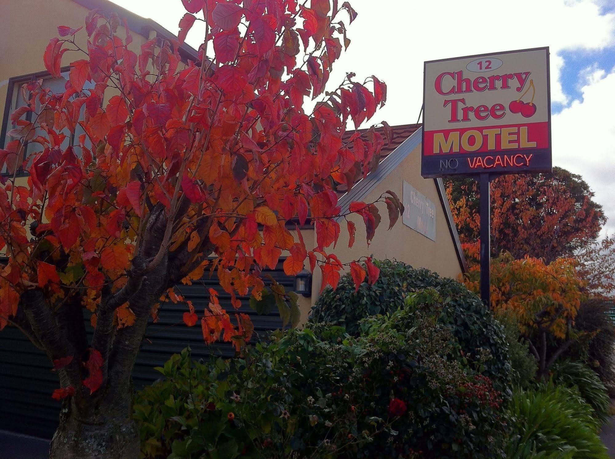 كريستتشيرش Cherry Tree Lodge Motel المظهر الخارجي الصورة